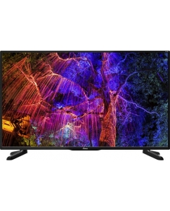 50" (127 см) LED-телевизор Scoole SL-LED50S02T2SU черный | emobi