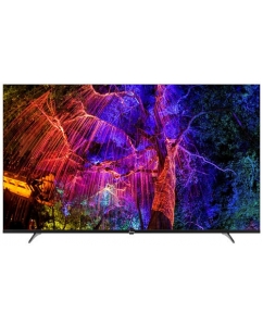 65" (165 см) LED-телевизор Scoole SL-LED65S01T2SU черный | emobi