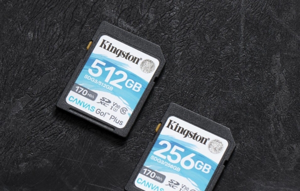 Карта памяти kingston microsdxc canvas go plus 256 гб