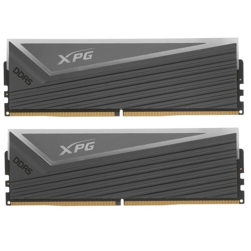 Купить Оперативная память A-Data XPG Caster RGB [AX5U6000C4016G-DCCARGY] 32 ГБ  в E-mobi