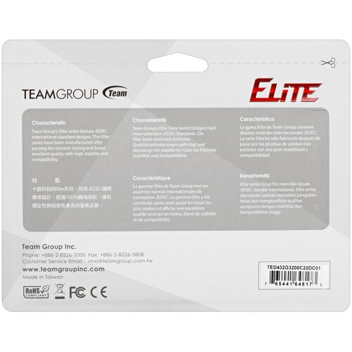 Купить Оперативная память Team Group ELITE [TED432G3200C22DC01] 32 ГБ  в E-mobi