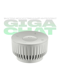 Купить Колонка умная SberBoom Mini с голосовым ассистентом Салют, белая  в E-mobi