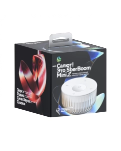 Купить Колонка умная Sber SberBoom Mini 2 ассистент Салют и Gigachat, серый, SBDV-00250G  в E-mobi