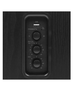 Купить Колонки компьютерные Fiero BHS-200 черный (2040275012924)  в E-mobi