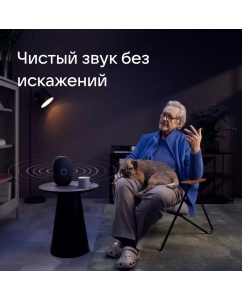 Купить Умная колонка VK Капсула с Марусей Black (MRC01BL)  в E-mobi