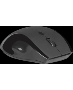 Купить Беспроводная мышь Defender Accura MM-295 черный (52295)  в E-mobi