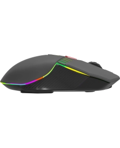 Купить Беспроводная игровая мышь Acer Nitro OMR305 черный (ZL.MCECC.020)  в E-mobi