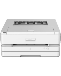Купить Лазерный принтер DELI Laser P2500DW  в E-mobi