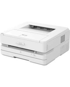 Купить Лазерный принтер DELI Laser P2500DW  в E-mobi