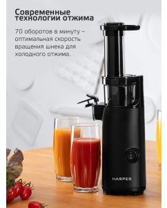 Купить Соковыжималка шнековая Harper HJE-S01 Black  в E-mobi