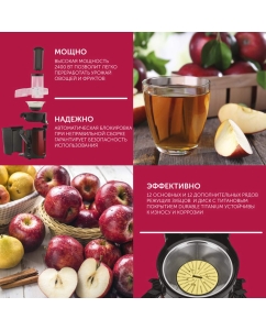 Купить Соковыжималка центробежная Scarlett SC-JE50S48 R  в E-mobi