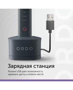 Купить Электрическая зубная щетка ORDO Sonic+ серая  в E-mobi
