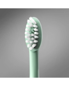 Купить Электрическая зубная щетка ORDO Sonic+ SP2000 зеленый  в E-mobi