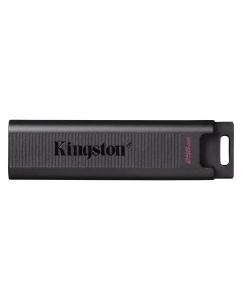 Купить Флешка Kingston DataTraveler Max 256Gb USB 3.2 Gen 2 DTMAX/256GB  в E-mobi