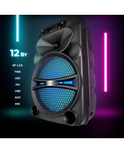 Купить Портативная колонка Defender G110 Black  в E-mobi