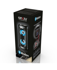 Купить Портативная колонка Ginzzu GM-210 Black  в E-mobi