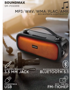 Купить Портативная колонка Soundmax SM-PS5081B Black (9542581)  в E-mobi