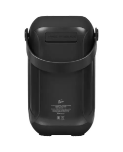 Купить Портативная колонка Fiero FR250 Black  в E-mobi