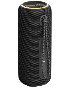 Купить Портативная колонка AIWA PAS-H200 Black (4895227625275)  в E-mobi