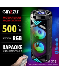 Купить Портативная колонка Ginzzu GM-209 Black  в E-mobi