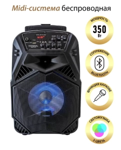 Купить Портативная колонка National NSM-V100  в E-mobi