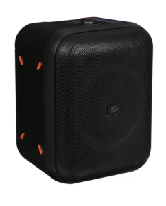 Купить Портативная колонка Fiero Emotion 100 FR800 Black  в E-mobi