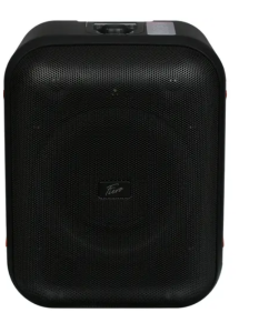 Купить Портативная колонка Fiero Emotion 100 FR800 Black  в E-mobi