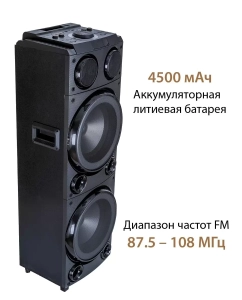 Купить Портатиная колонка  National NSM-V650  в E-mobi