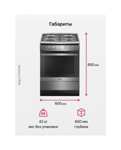 Купить Газовая плита Hansa FCGX62020 Silver  в E-mobi