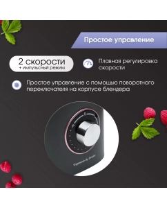 Купить Блендер Zigmund &amp; Shtain BS-442D Black  в E-mobi