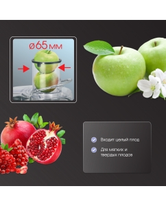 Купить Соковыжималка центробежная Zigmund &amp; Shtain EJ-753 900 Вт серебристый, черный  в E-mobi