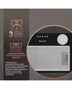 Купить Вытяжка встраиваемая Weissgauff BOX 456 Black Black  в E-mobi