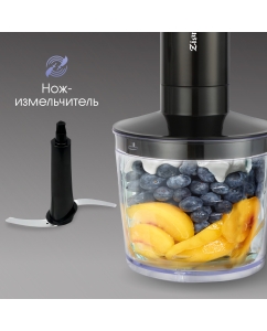 Купить Блендер Zigmund &amp; Shtain BH-241 M  в E-mobi