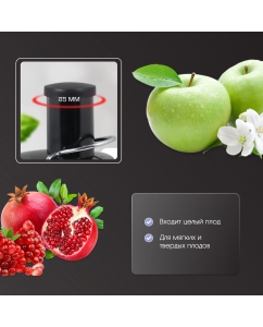 Купить Соковыжималка центробежная Zigmund &amp; Shtain EJ-751  в E-mobi