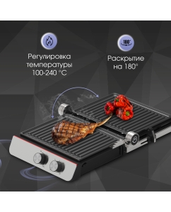 Купить Гриль Zigmund &amp; Shtain ZEG-926 серебристый, черный  в E-mobi