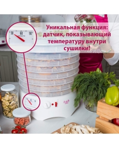 Купить Сушилка для овощей и фруктов Мастерица EFD-0903VM белый  в E-mobi
