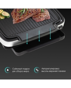 Купить Гриль Zigmund &amp; Shtain Grillmeister ZEG-930 серебристый  в E-mobi