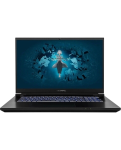 Купить Ноутбук Colorful EVOL X17 PRO MAX-HQ99B3202TE-G-RU-KA черный (A10205400063) в E-mobi