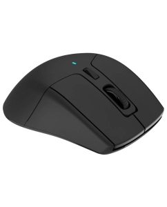 Купить Беспроводная мышь Acer OMR170 черный (ZL.MCEEE.00N)  в E-mobi