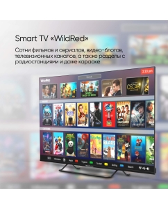 Купить Телевизор Topdevice TDTV24CS04H_BK, 24"(61 см), HD  в E-mobi