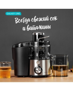 Купить Соковыжималка центробежная GALAXY LINE GL0810 1200 Вт серебристый  в E-mobi