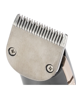 Купить Машинка для стрижки волос GALAXY LINE GL4160 черный, золотистый  в E-mobi