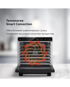 Купить Сушилка для овощей и фруктов BQ FD1007 серебристый  в E-mobi
