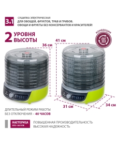 Купить Сушилка для овощей и фруктов Мастерица EFD-1001VM зеленый  в E-mobi