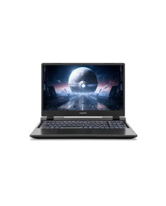 Купить Ноутбук Colorful EVOL P15 24 серый (A10205400052) в E-mobi