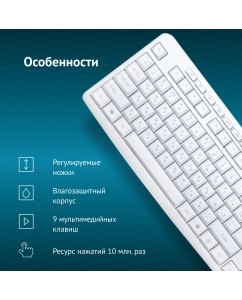 Купить Проводная клавиатура OKLICK 305M White  в E-mobi
