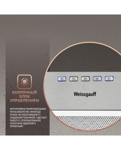 Купить Вытяжка встраиваемая Weissgauff FIONA 60 X серебристый  в E-mobi