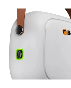 Купить Пароочиститель Bort BDR-3000-RR белый  в E-mobi