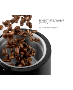 Купить Кофемолка RED SOLUTION RCG-1610 черный  в E-mobi