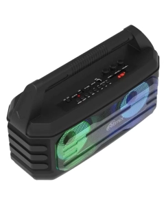Купить Магнитола Ritmix SP-610B Black  в E-mobi